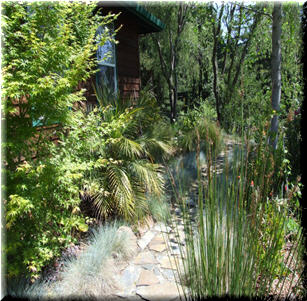 Back Yards